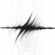 Richter Single