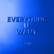 Everything U Want Single