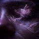 Closed Eyes Given Solace in the Dark Single