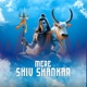 Mere Shiv Shankar Single