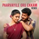 Paarvayile Oru Ekkam Remix Single