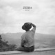 Zeeba Reset