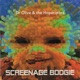 Screenage Boogie