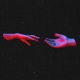 One Touch Single