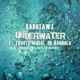 Underwater feat Frosty Mikial 3D Randola Single