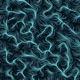 I ll Let You Know Single
