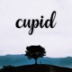 Cupid Single
