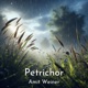 Petrichor Single