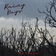 Rainy Days feat Dunleavy Single