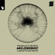 Milosonic Leena Punks Remix Single