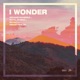 I Wonder feat Mickey Shiloh Single