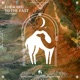 Forward to the Past Single
