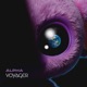 Voyager