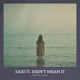 Said It Didn t Mean It EP