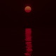 Red Nights feat Niko Single