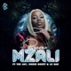 Mzali feat Tee Jay Cheez Beezy Le Sax Single