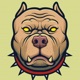 Cachorro de Raça Single