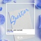 Shelter Single