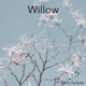 Willow Single
