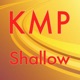 Shallow Originally Performed by Lady Gaga Bradley Cooper Karaoke Instrumental Single
