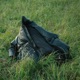 Garments Single