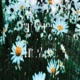 don t love me yet i m not ready for it EP
