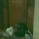 Waste Single