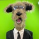 Hazy Shade of Whippet Single