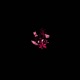 Roses EP
