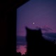 Midnight Single