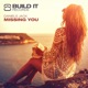 Missing You Single