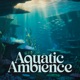 Aquatic Ambience Single