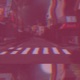Vivid Single