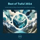 Best of Traful 2024 DJ Mix
