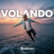Volando Single