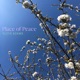 Place of Peace Single