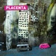 Placenta