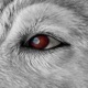 Your eyes Single