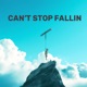 Can t Stop Fallin Single