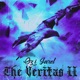 The Veritas II