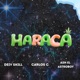 HARACA feat DEIV SKILL Carlos C Single