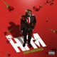 Mr HFM