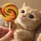 Candy feat 666SWISH Single
