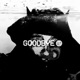 Goodbye Single