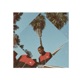 Autumn Leaves Single