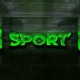 Sport Single