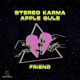 Friend Radio Edit Single