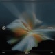 Unfolding Single