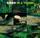 In a Vision Single