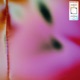 Winter Sun Fever Dream Single